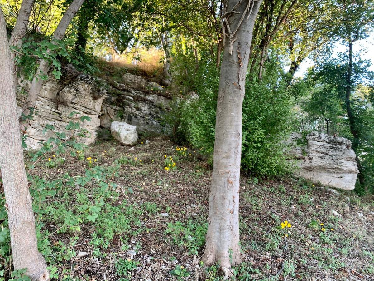 Holiday home Il Nido Del Falco Nelle Antiche Mura Saturnia