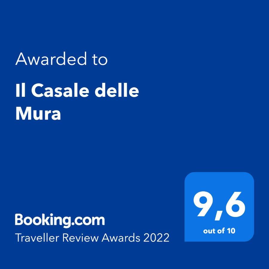 Il Nido Del Falco Nelle Antiche Mura