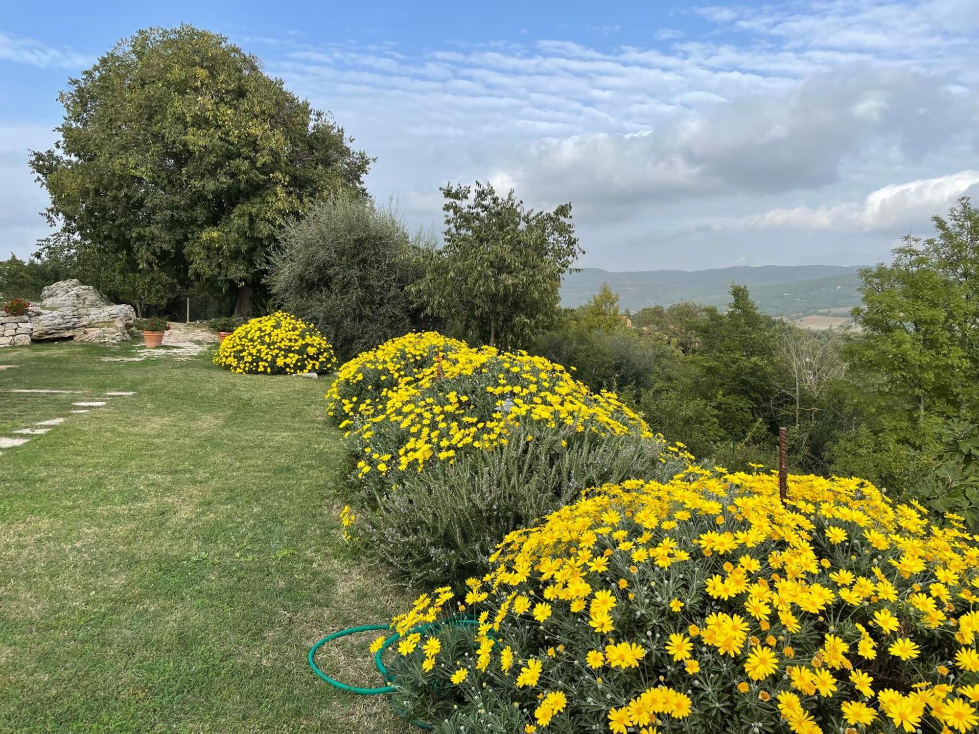 Holiday home Il Nido Del Falco Nelle Antiche Mura *