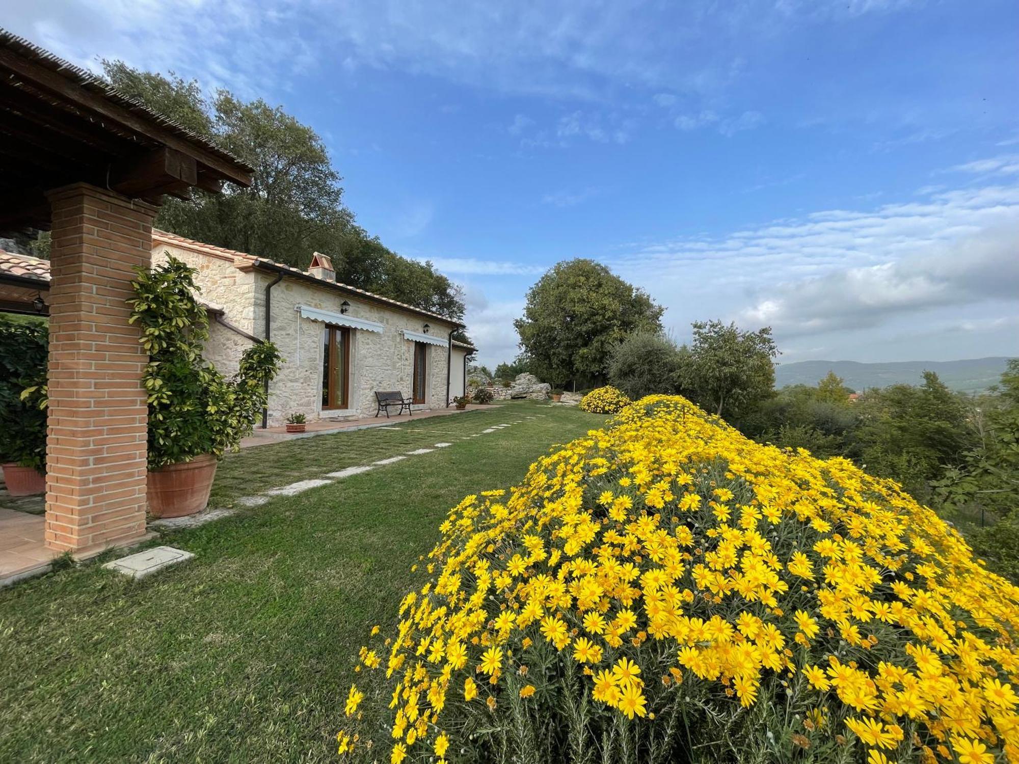 Il Nido Del Falco Nelle Antiche Mura * Saturnia