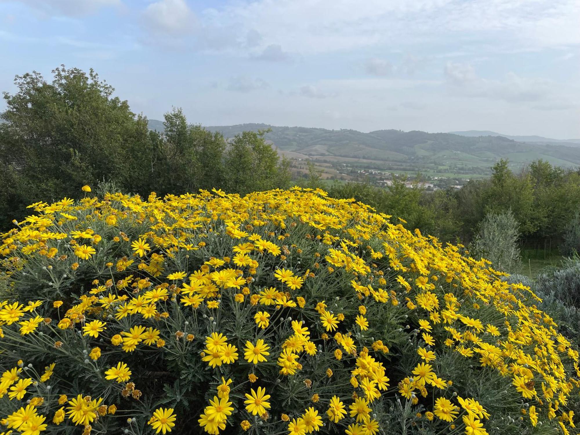 Holiday home Il Nido Del Falco Nelle Antiche Mura