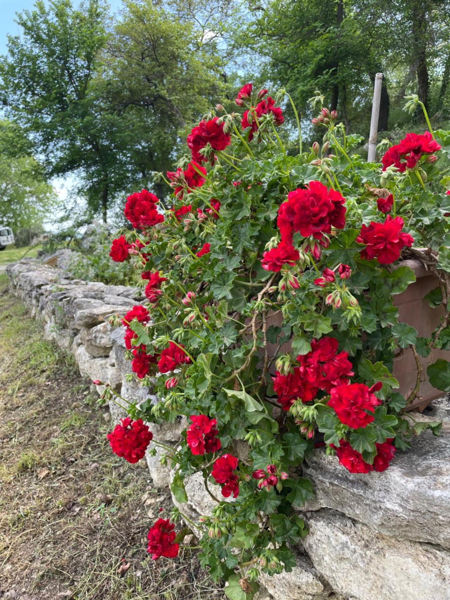 Il Nido Del Falco Nelle Antiche Mura Holiday home