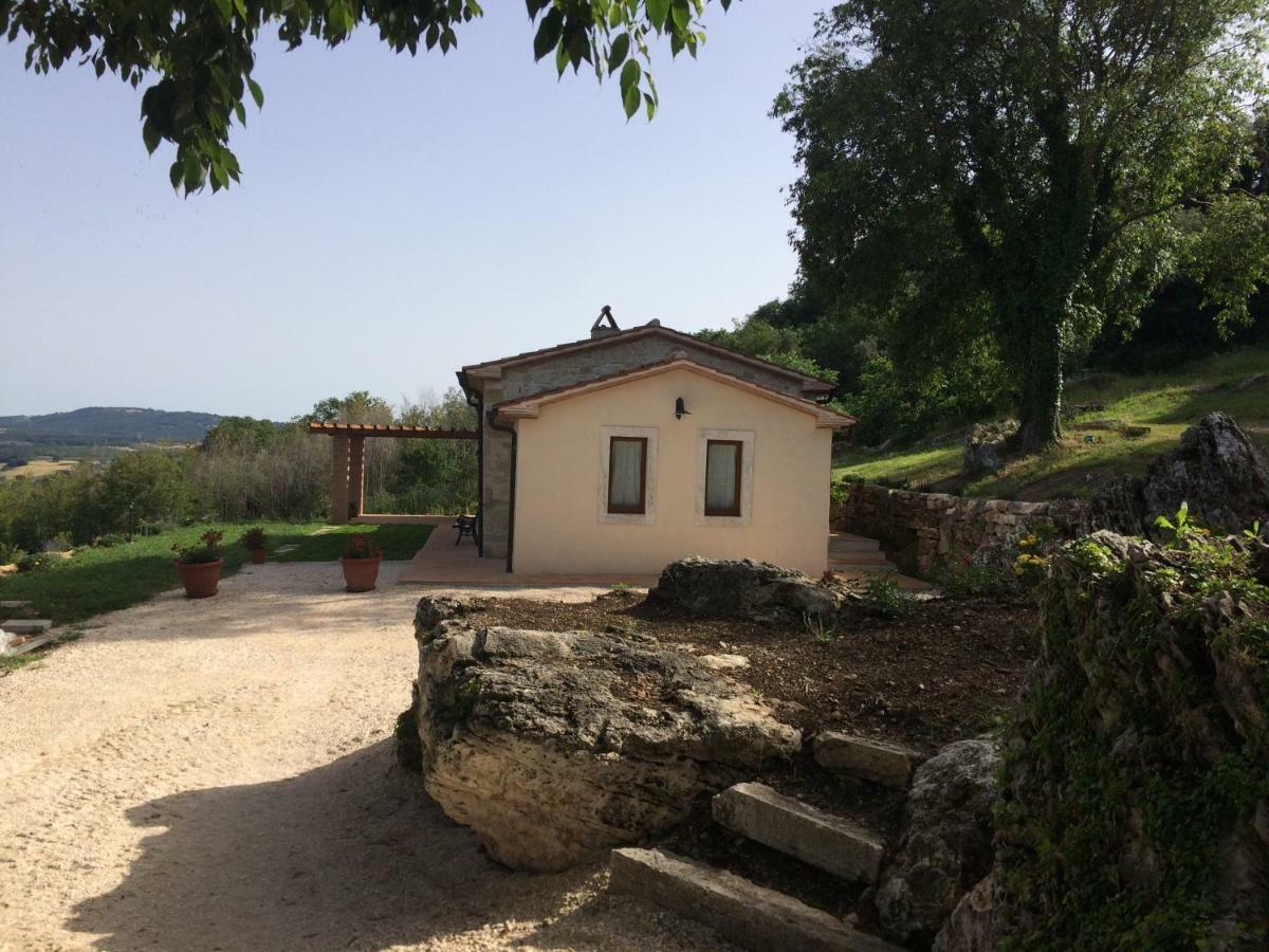 Il Nido Del Falco Nelle Antiche Mura