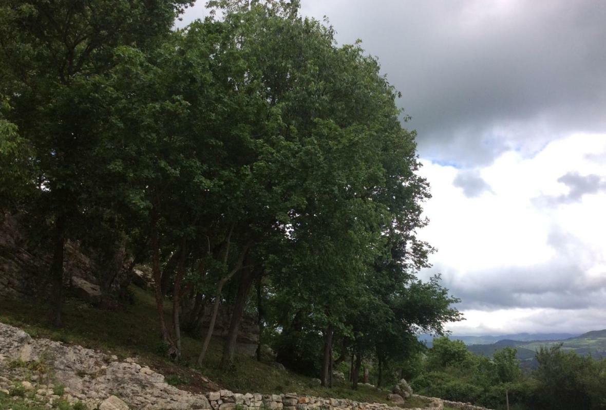 Holiday home Il Nido Del Falco Nelle Antiche Mura