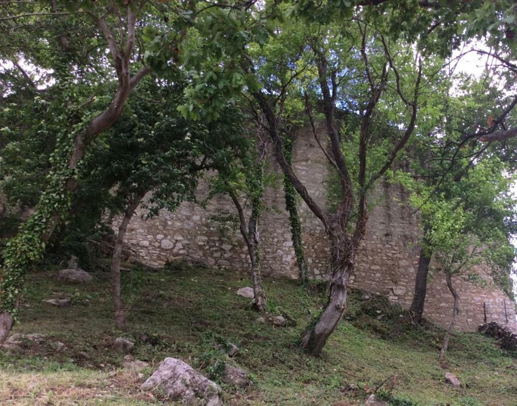 Il Nido Del Falco Nelle Antiche Mura