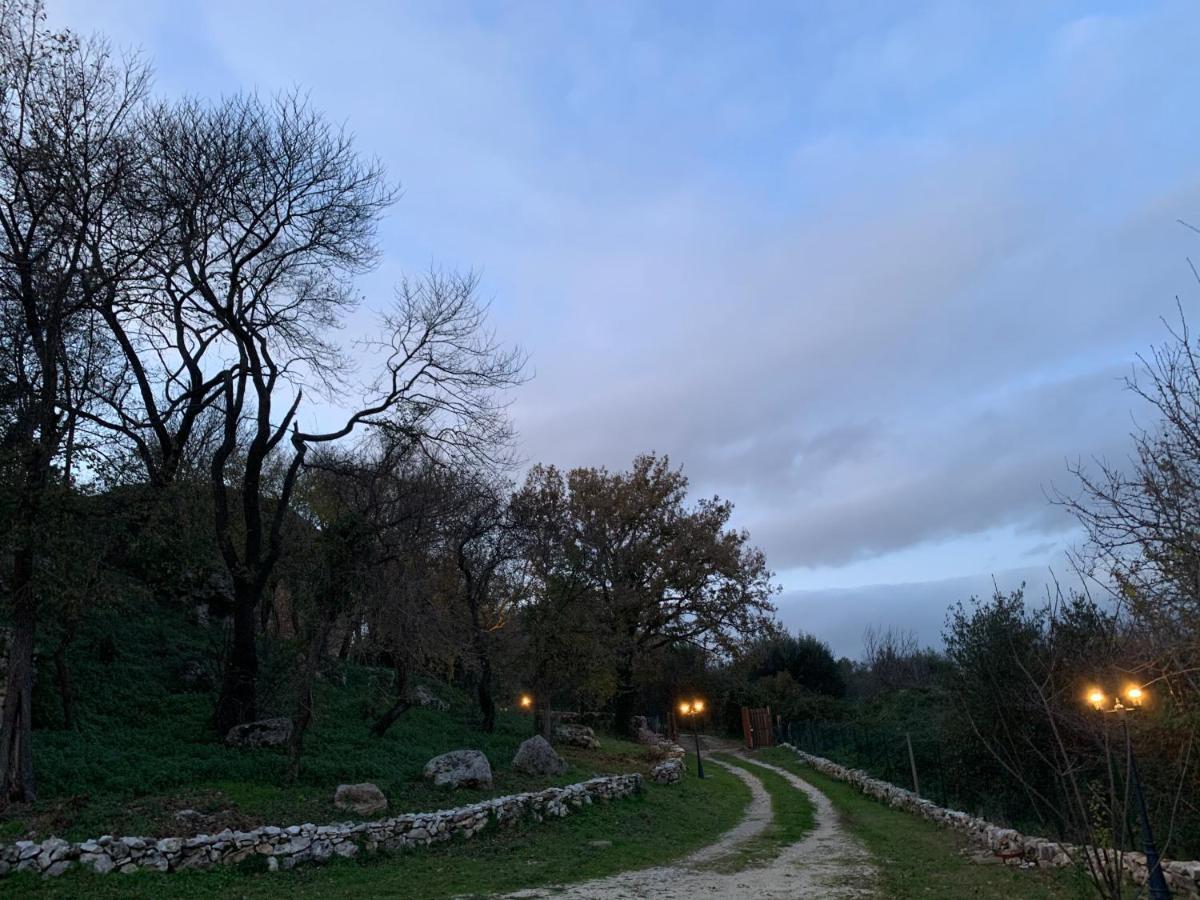 Il Nido Del Falco Nelle Antiche Mura