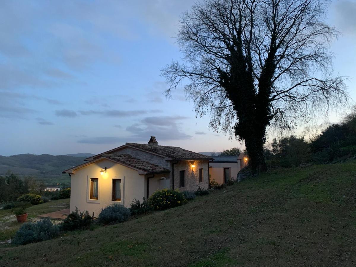 Il Nido Del Falco Nelle Antiche Mura Saturnia